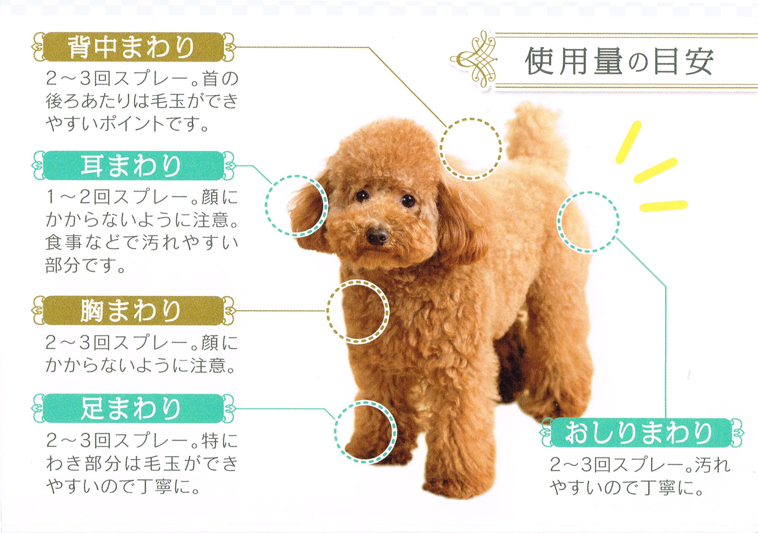 シャンプーした後のふわふわ感を持続するには・・・？ | Dog Family  Pyuna（ドッグファミリーピュナ）のBLOG｜福井県福井市のペットショップ